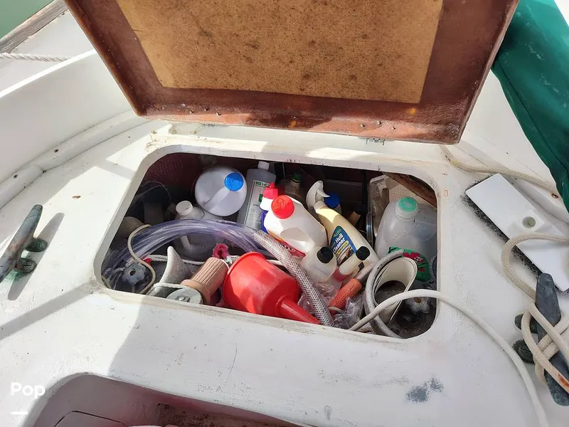 Slide: The Image of Lazerate - 13804733