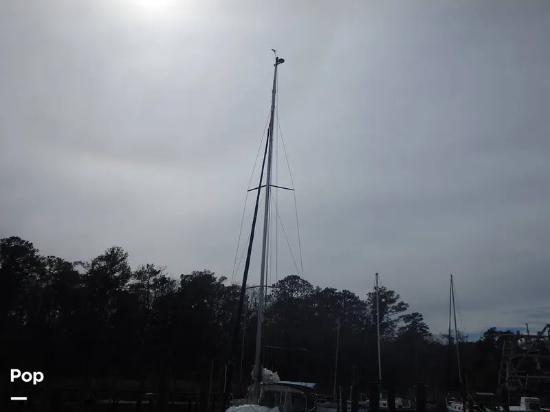 Slide: The Image of Mast - 13801501