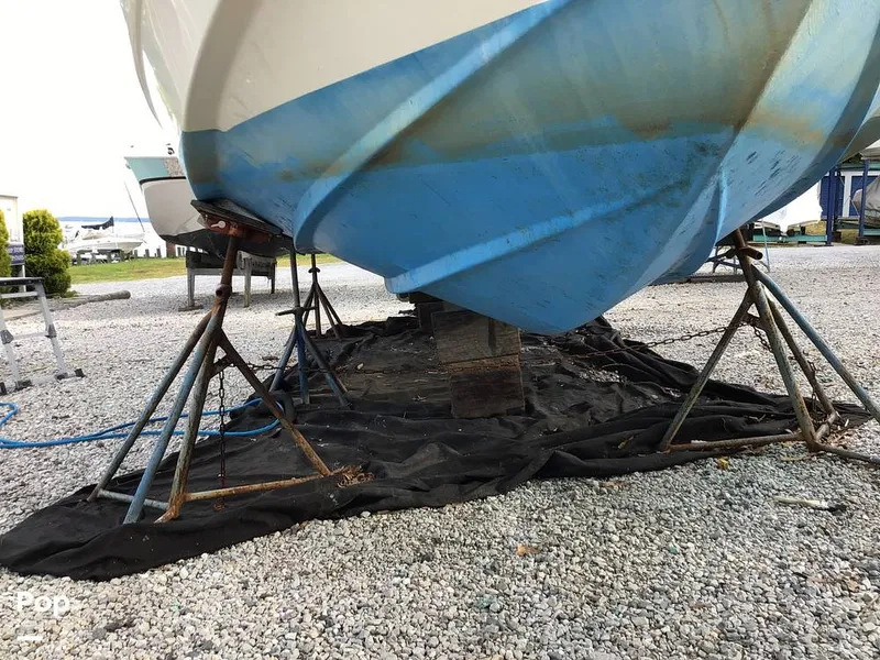 Slide: The Image of Rinker Fiesta Vee 270 2006 - 14173663