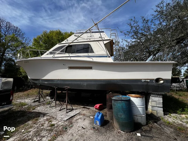 The Image of Pacemaker 37 1990 - 13908820