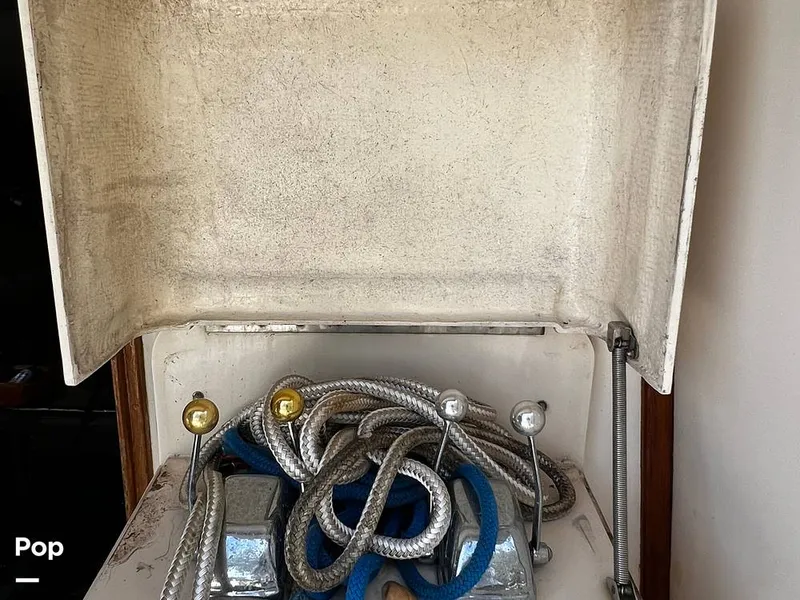 Slide: The Image of Pacemaker 37 1990 - 13908836