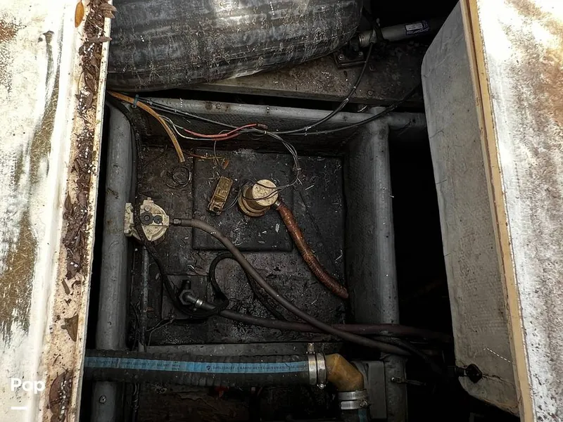 Slide: The Image of Pacemaker 37 1990 - 13908837