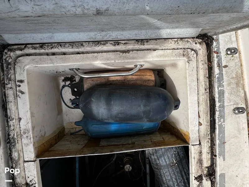 Slide: The Image of Pacemaker 37 1990 - 13908838