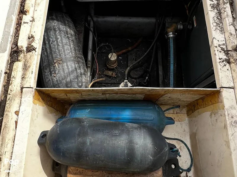 Slide: The Image of Pacemaker 37 1990 - 13908839