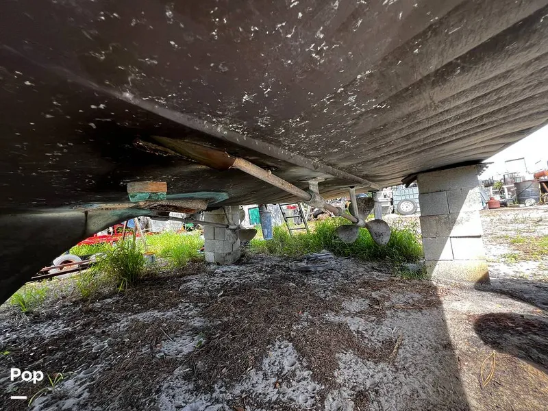 Slide: The Image of Pacemaker 37 1990 - 13908821