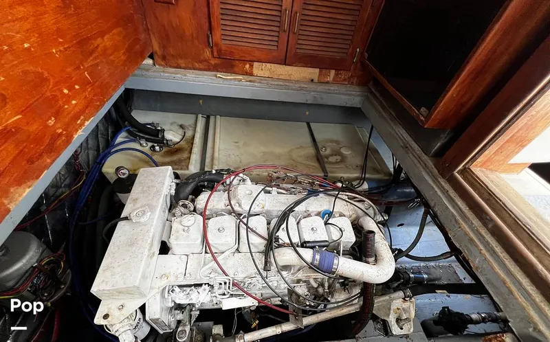 Slide: The Image of Pacemaker 37 1990 - 13908852