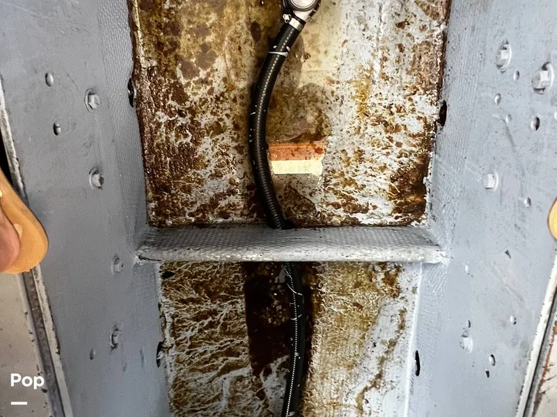 Slide: The Image of Pacemaker 37 1990 - 13908853