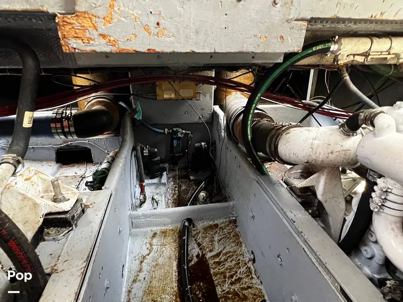 Slide: The Image of Pacemaker 37 1990 - 13908855