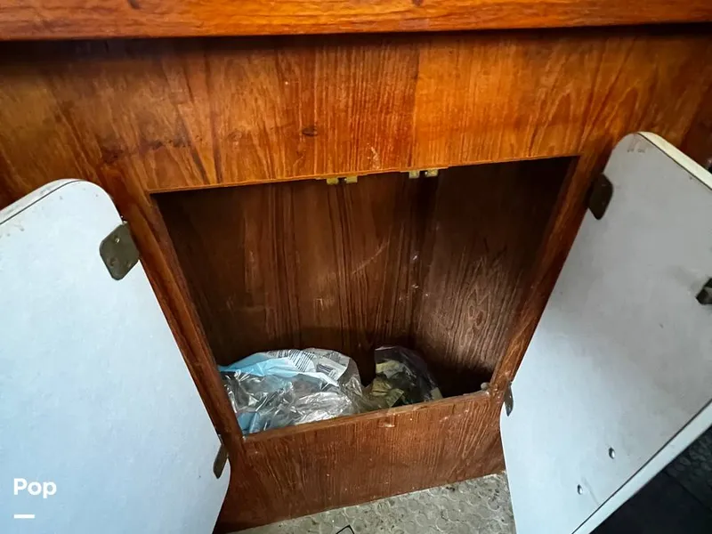 Slide: The Image of Pacemaker 37 1990 - 13908864