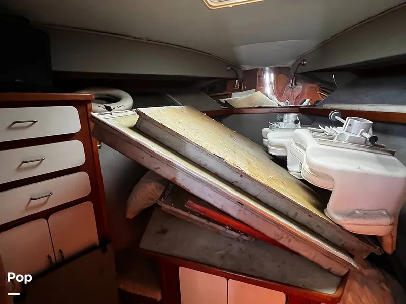 Slide: The Image of Pacemaker 37 1990 - 13908877