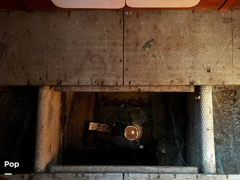 Slide: The Image of Pacemaker 37 1990 - 13908880