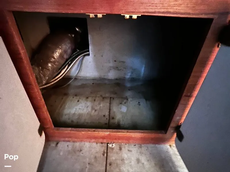 Slide: The Image of Pacemaker 37 1990 - 13908881