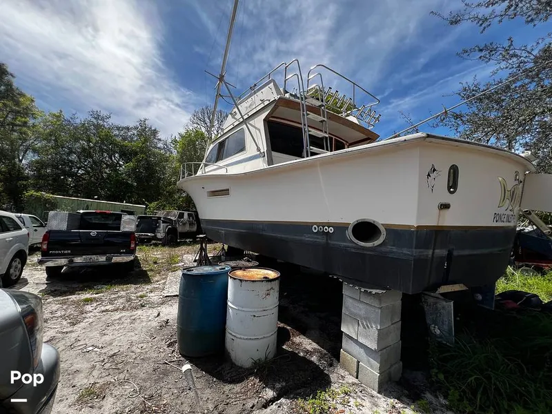 Slide: The Image of Pacemaker 37 1990 - 13908892