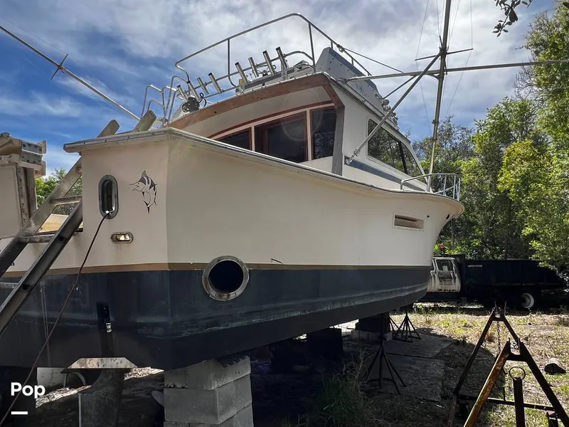 Slide: The Image of Pacemaker 37 1990 - 13908894