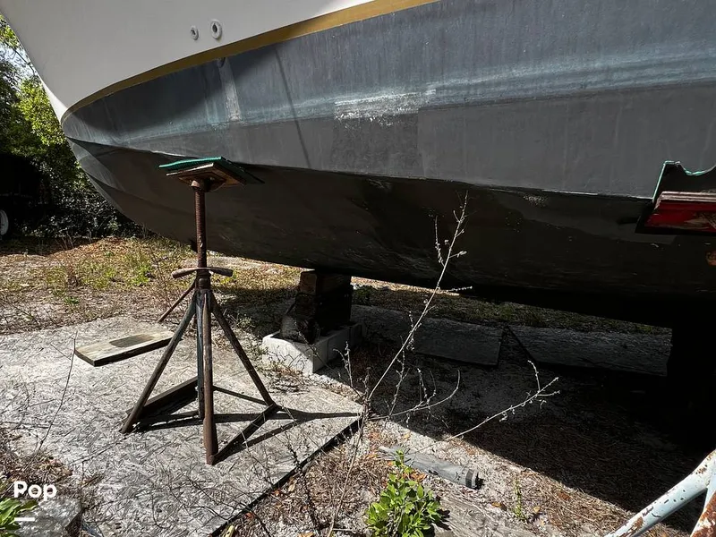 Slide: The Image of Pacemaker 37 1990 - 13908829