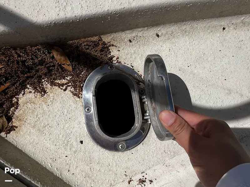 Slide: The Image of Pacemaker 37 1990 - 13908950