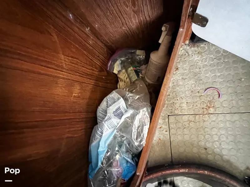 Slide: The Image of Pacemaker 37 1990 - 13908957