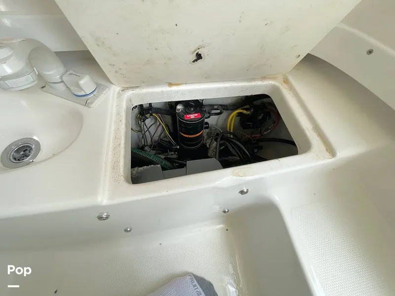 Slide: The Image of Head - 13875797