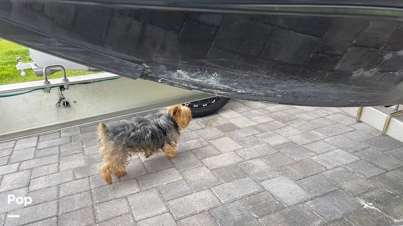 Slide: The Image of Yamaha limited 242 2016 - 13865331