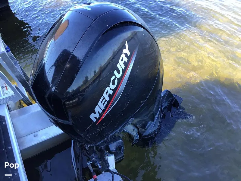 Slide: The Image of Bennington 22S 2022 - 14830191