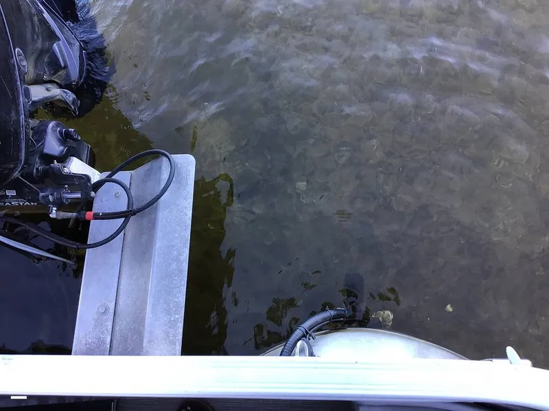 Slide: The Image of Bennington 22S 2022 - 14830192