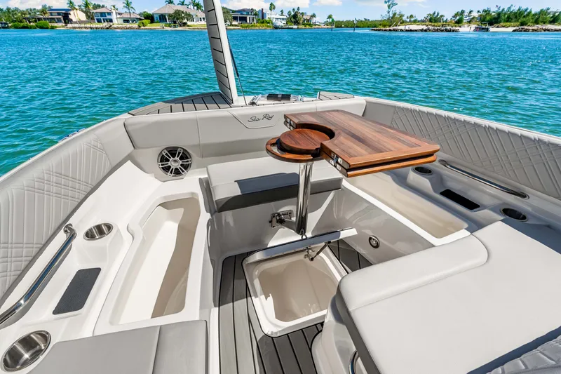 Slide: The Image of Sea Ray SDX 270 Outboard 2025 - 39