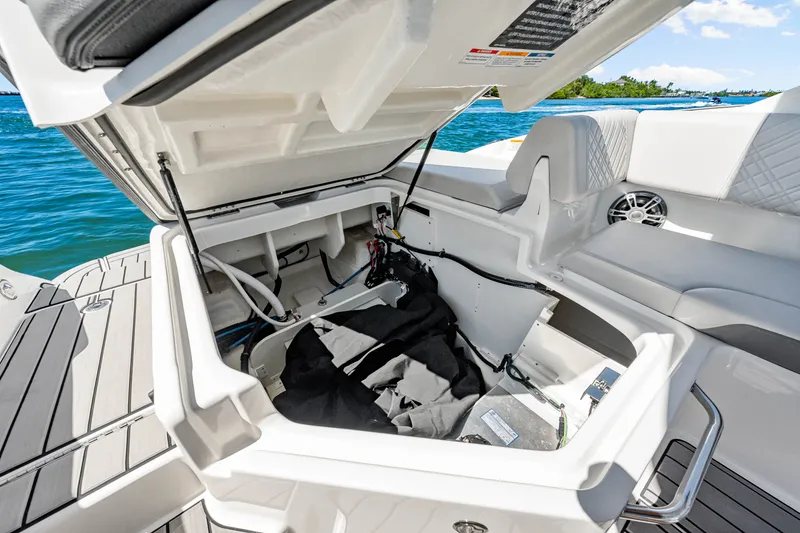 Slide: The Image of Sea Ray SDX 270 Outboard 2025 - 43