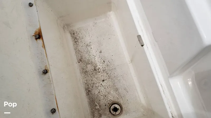 Slide: The Image of Bayliner VR6 OB 2023 - 14512654