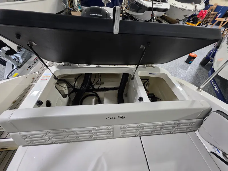 Slide: The Image of Sea Ray 19 SPX OB 2025 - 12