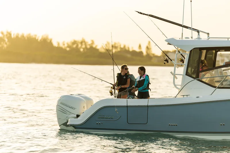 Slide: The Image of Boston Whaler 325 Conquest 2026 - 19