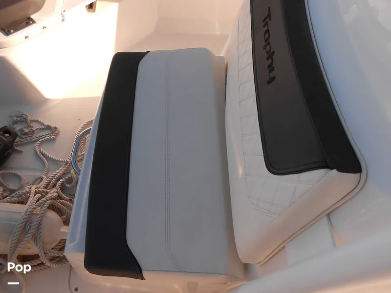 Slide: The Image of Trophy 24CC 2023 - 13967364