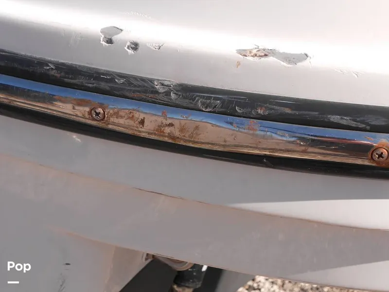 Slide: The Image of Trophy T24CC 2023 - 13992122