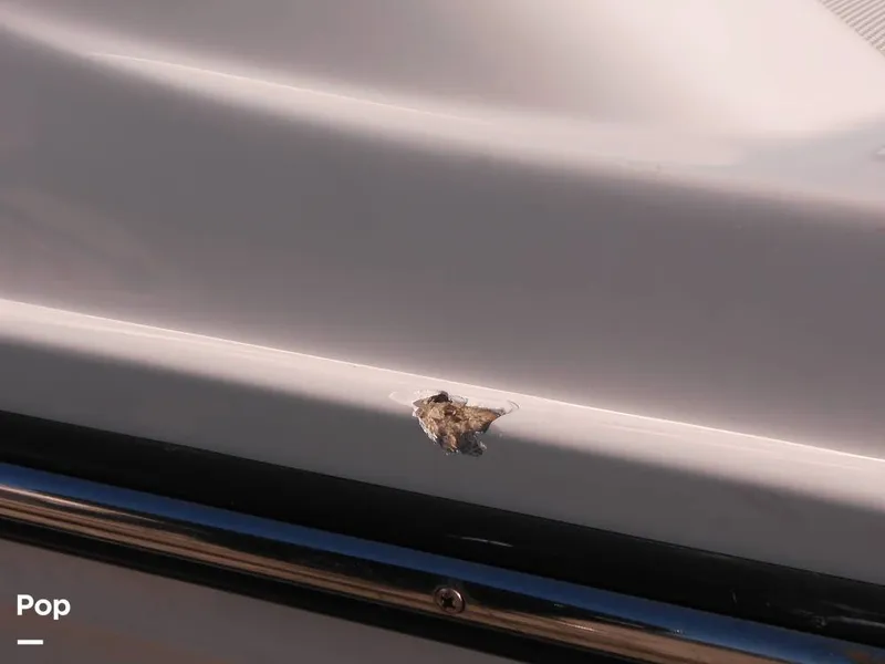 Slide: The Image of Trophy T24CC 2023 - 13992123