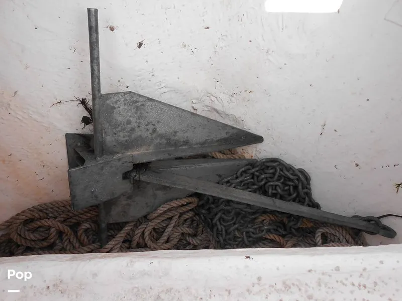 Slide: The Image of Trophy T24CC 2023 - 15700496