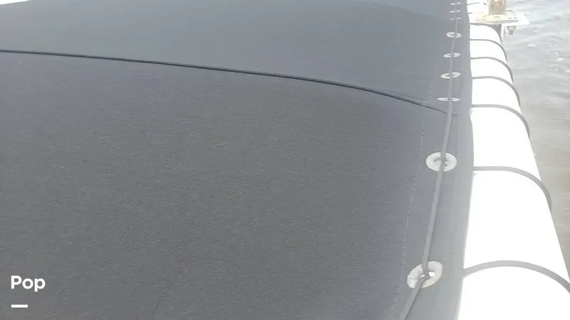 Slide: The Image of Trophy 24CC 2023 - 14466507