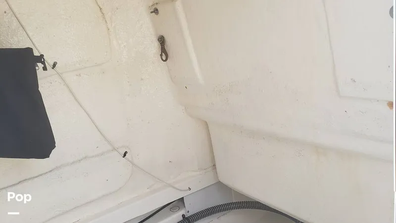 Slide: The Image of Trophy 24CC 2023 - 14466499