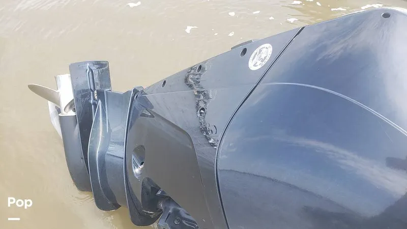 Slide: The Image of Trophy 24CC 2023 - 14466438