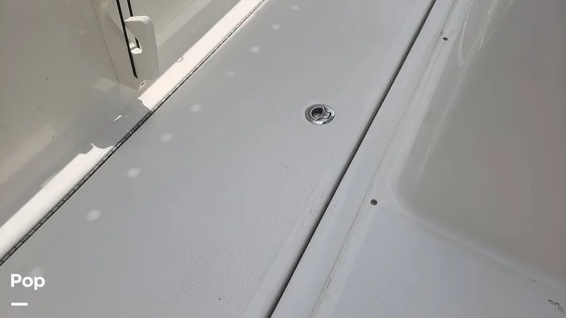 Slide: The Image of Trophy 24CC 2023 - 14466453