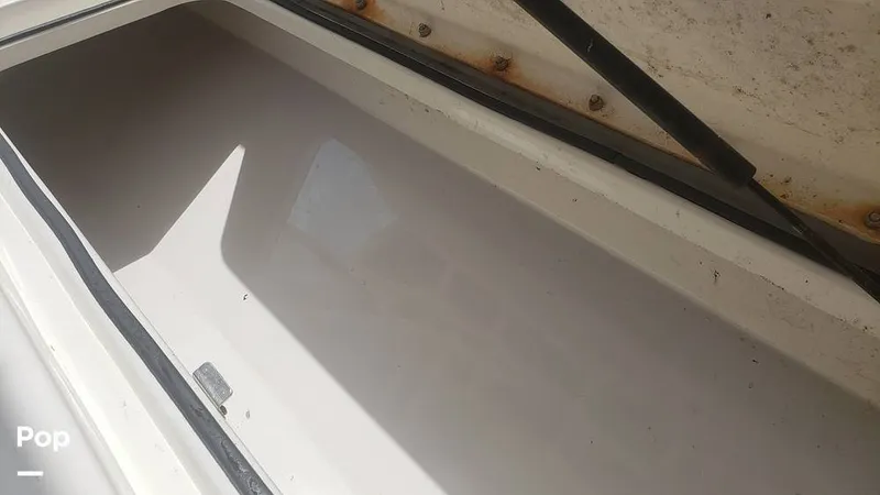 Slide: The Image of Trophy 24CC 2023 - 14466458