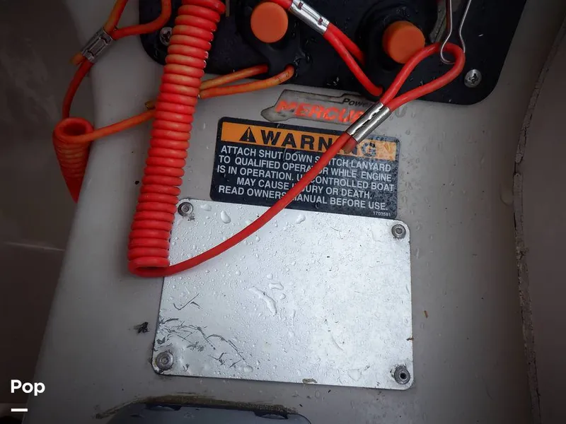 Slide: The Image of Trophy 2902 WA 2003 - 14595017