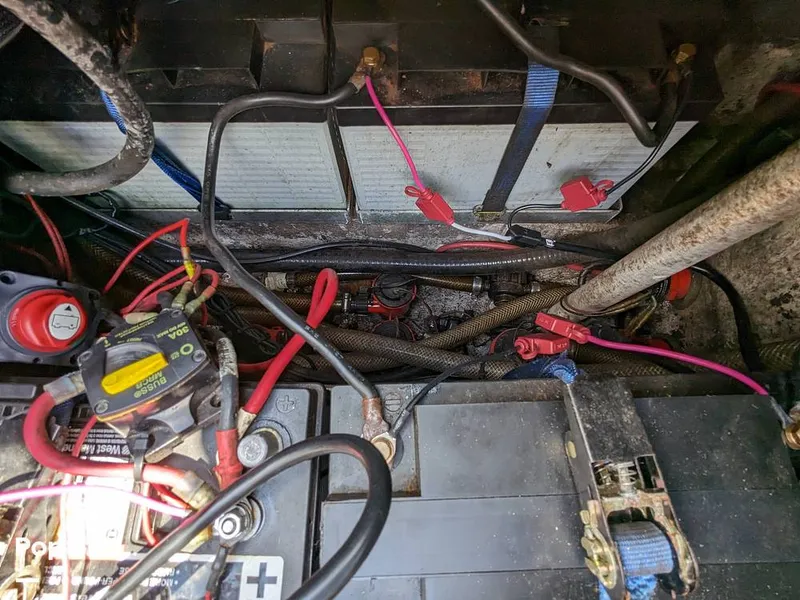 Slide: The Image of Bass Cat Eyra 2015 - 14113881