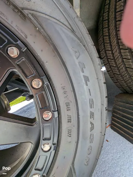 Slide: The Image of Bass Cat Eyra 2015 - 14113952