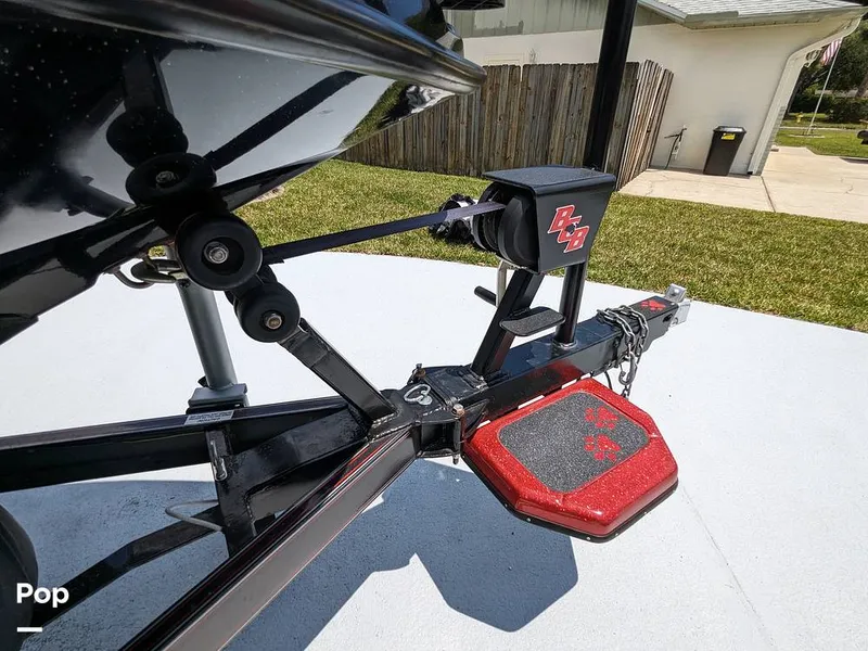 Slide: The Image of Bass Cat Eyra 2015 - 14113958