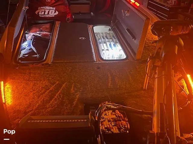 Slide: The Image of Bass Cat Eyra 2015 - 14113959