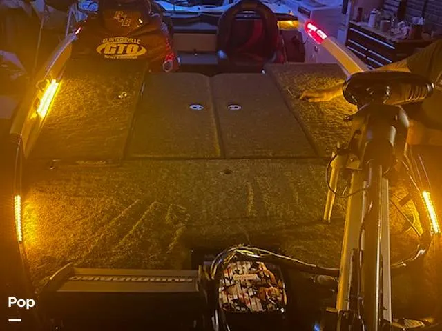 Slide: The Image of Bass Cat Eyra 2015 - 14113960