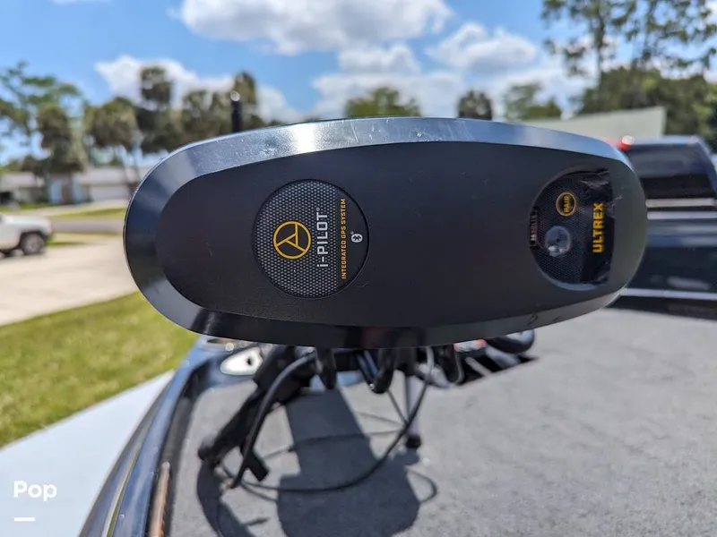 Slide: The Image of Bass Cat Eyra 2015 - 14113851