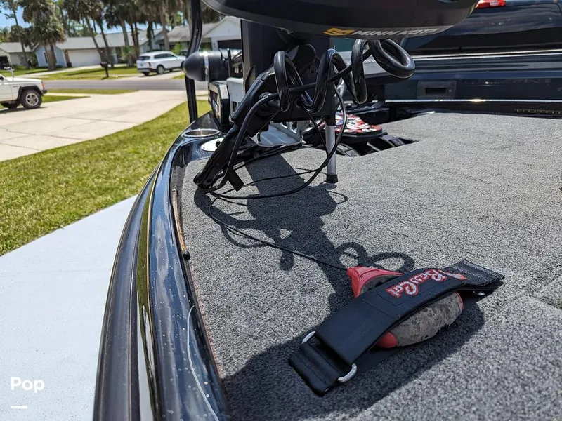 Slide: The Image of Bass Cat Eyra 2015 - 14113852