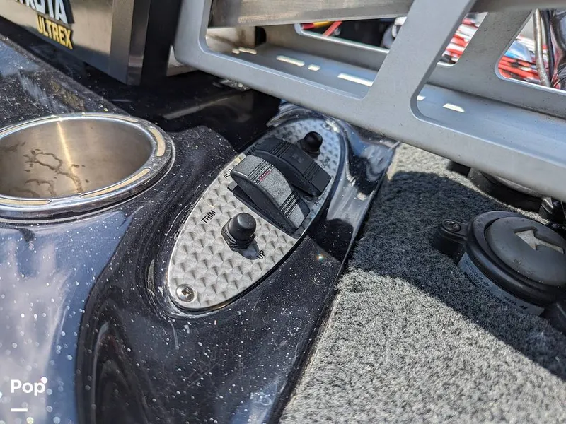 Slide: The Image of Bass Cat Eyra 2015 - 14113853