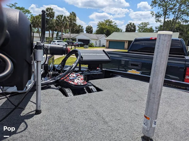 Slide: The Image of Bass Cat Eyra 2015 - 14113854