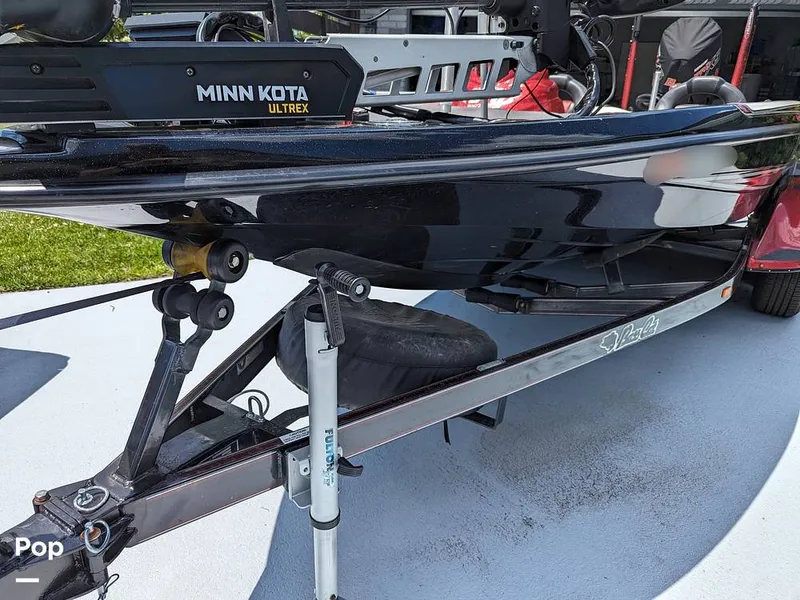 Slide: The Image of Bass Cat Eyra 2015 - 14113855